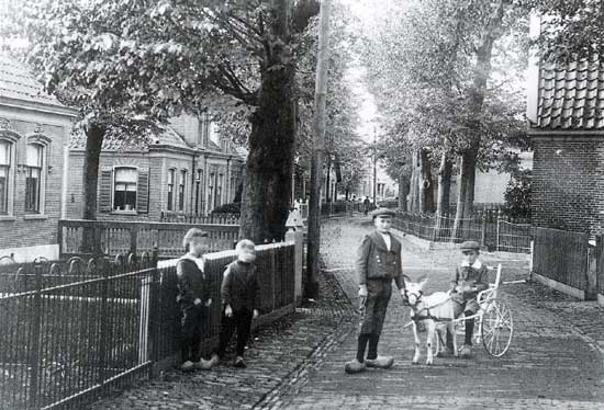 De Langedijk was vroeger &eacute;&eacute;n lange dorpsweg, door een waterrijk gebied.