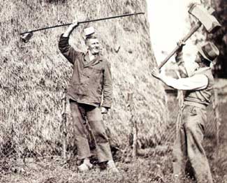 Hooisteken bij boer P. Zee in Hoogwoud omstreeks 1910.