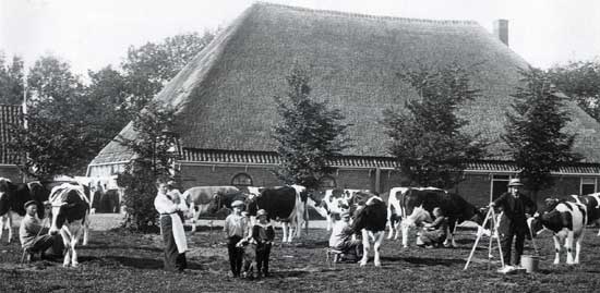 Rond 1900 woonde op deze boerderij in Haringhuizen de bekende fokker Gerrit Clay.
