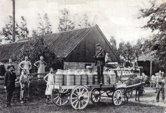 In 1897 richtte H.J. Avis uit Midwoud de stoomzuivelfabriek Nibbixwoud op.