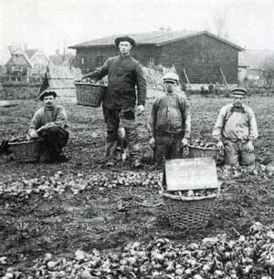 Uienbouwers in 1915 aan het werk op een veldje in Grootebroek.