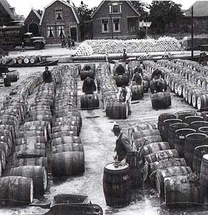 Bij de Langedijk horen de zuurkoolfabrieken.