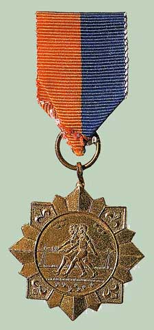 De achtjarige Peter Sasburg uit Midwoud ontving in 1956 deze medaille.