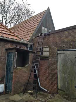 Dakpunt van de varkensschuur en oude wc.
