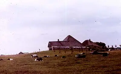 I-22. Terp in het landschap