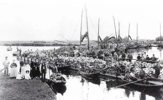 Foto uit 1896 van de koolhaven van Broek op Langedijk.