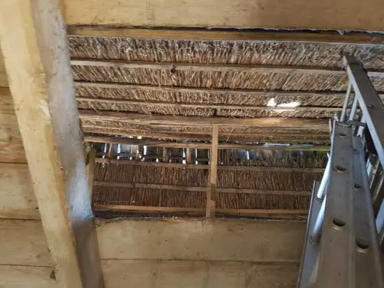 Het dak aan de binnenzijde met het riet onder de pannen.