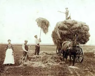 Aan het eind van de 19de eeuw verlieten vele duizenden landarbeiders als gevolg van de industrialisatie het platteland.