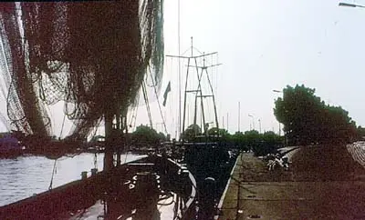 II-15. De haven van Enkhuizen. De haringvisserij