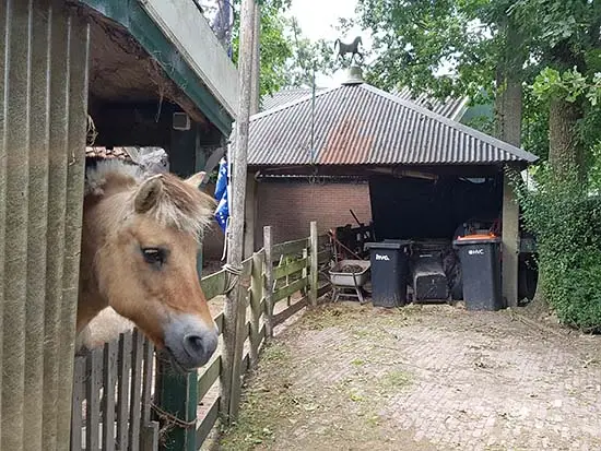 De vijzel staat bij het onderkomen voor de paarden.