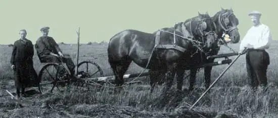 V&oacute;&oacute;rdat er gehooid kon worden, moest natuurlijk eerst het gras worden gemaaid.