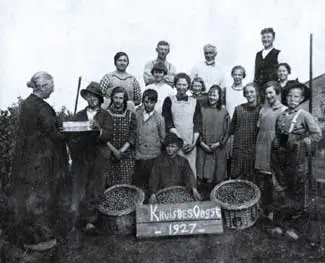 De plukkers van de kruisbesoogst van 1927 in de tuin van de familie Buishand 	uit Benningbroek.