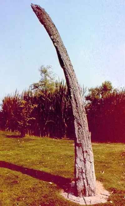 II-11. Walviskaak Hoogwoud