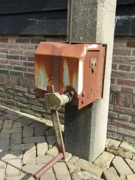 Een van de lieren.