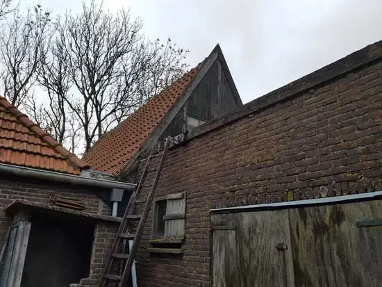 Dakpunt van de varkensschuur.