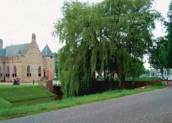 De toegangsweg naar kasteel Radboud met onder de treurwilg de fundamenten van de Oosterpoort ...
