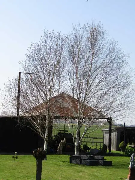 Deze vijzel meet 6x6 meter en wordt in de toekomst herbouwd met oude materialen.
