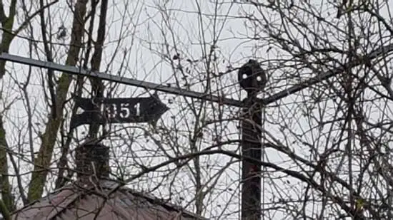 Hemmerweg 3. Windvaan met jaartal 1951.