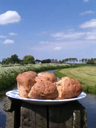 Brood in West-Friesland.