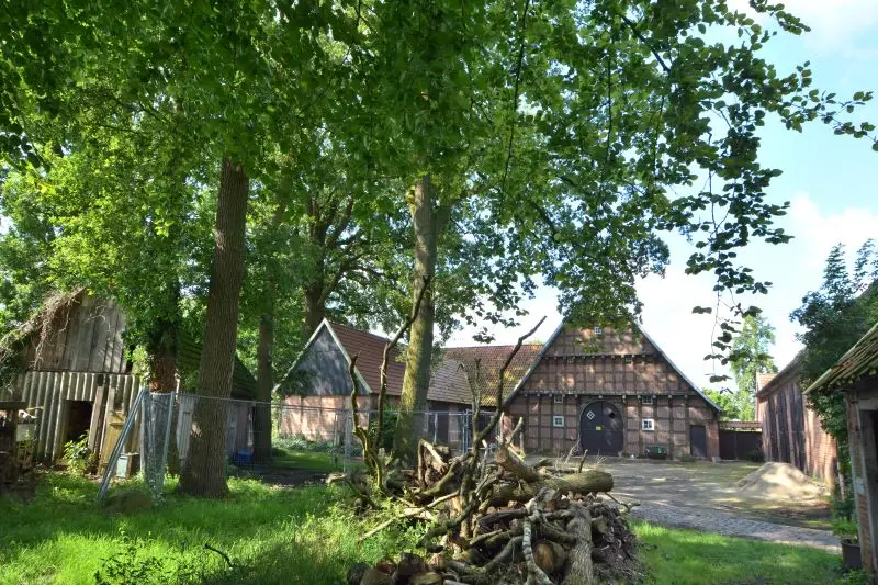 9 Hoeve Depenbrick DSC 4677 kopie