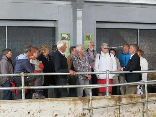 Uitleg in de stal door Meindert Nieuweboer.
