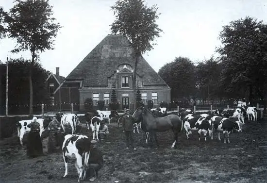 Het weiland voor de boerderij wordt in West-Friesland &lsquo;het bon&rsquo; genoemd.