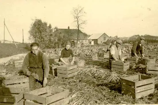 Najaar 1941, werken op de bouw.