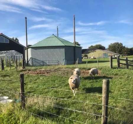 Hooivijzel achter nieuw huis.