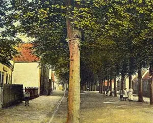De Breedstraat in 1920 gefotografeerd met zijn lindenbomen