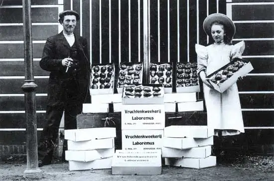 Trots poseren Cornelis Mol (1871-1909) en zijn dochter Jantje omstreeks 1905 bij de appels en peren.