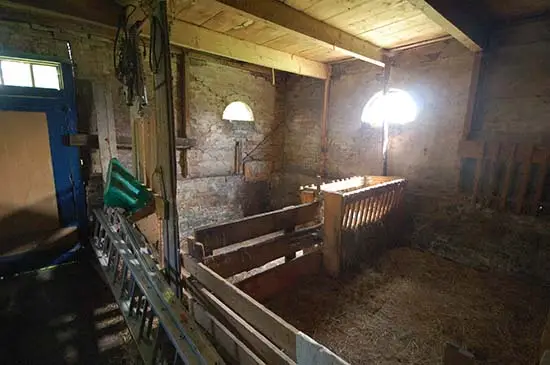 Stalruimte in de staart.